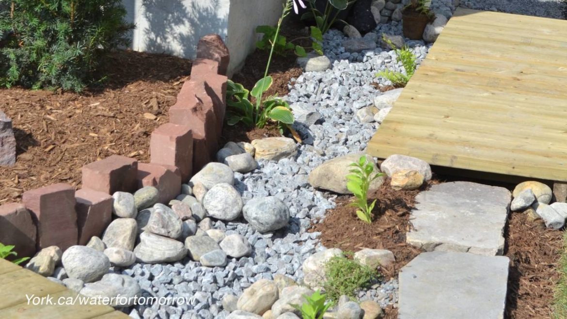 Create Flood-wise Landscapes - Get Growing with Frankie Flowers