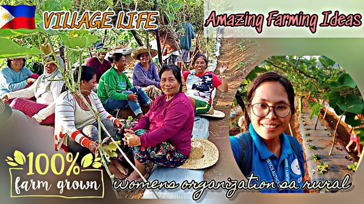 VILLAGE LIFE|AMAZING FARMING IDEAS|ORGANIC PLANTS|VEGETABLE GARDENING|RURAL AREAS