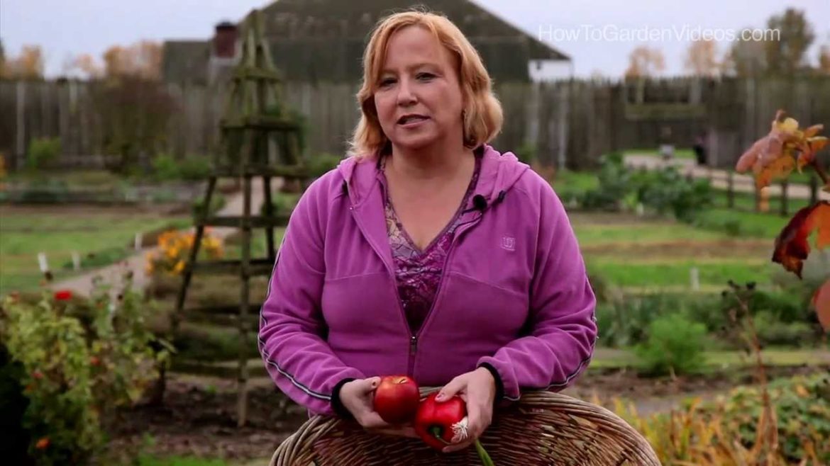 Sustainable Homestead Garden Tips - Learn all about Sustainable Homestead Garden Tips