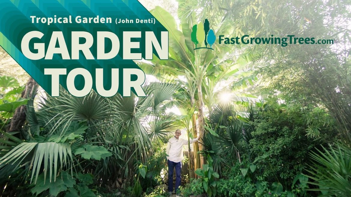 Tropical Garden Tour in North Carolina! Tropical Garden Tour in North Carolina!