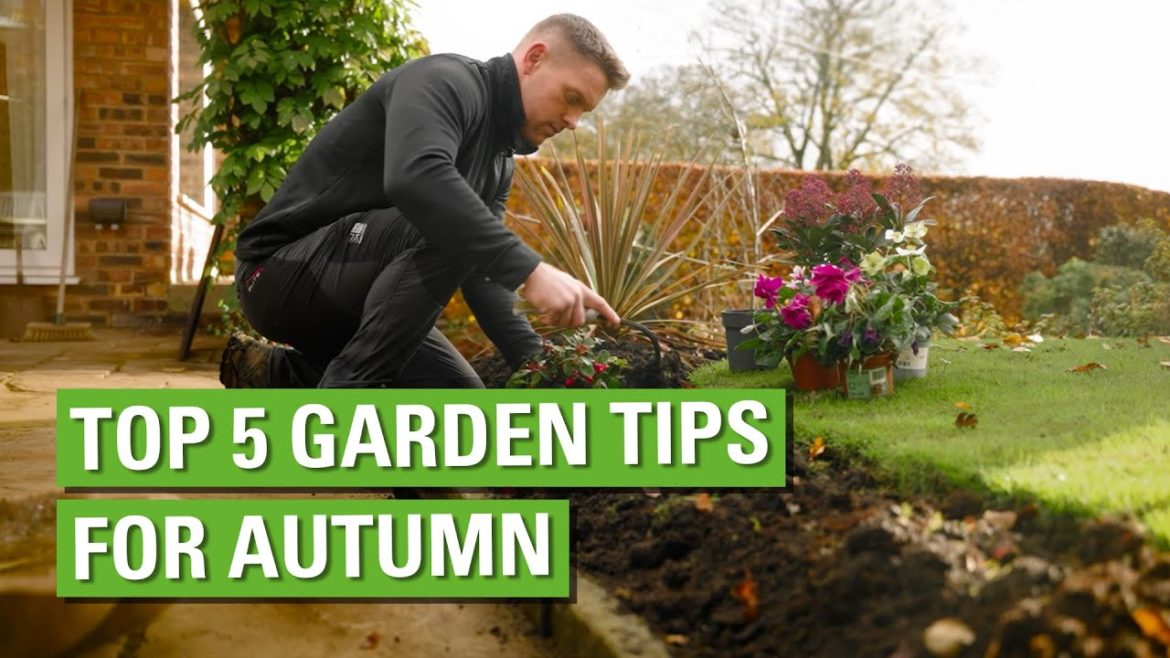 Top 5 Garden Tips For Autumn