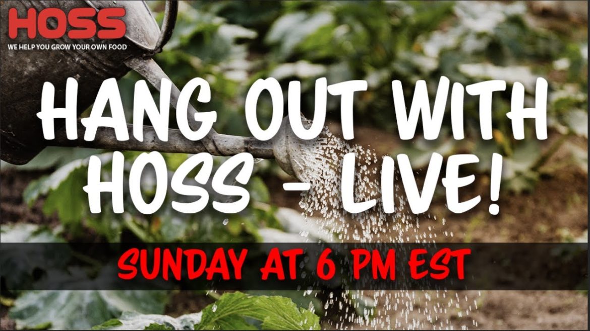Gardening Tips and Tricks LIVE Gardening Tips and Tricks LIVE