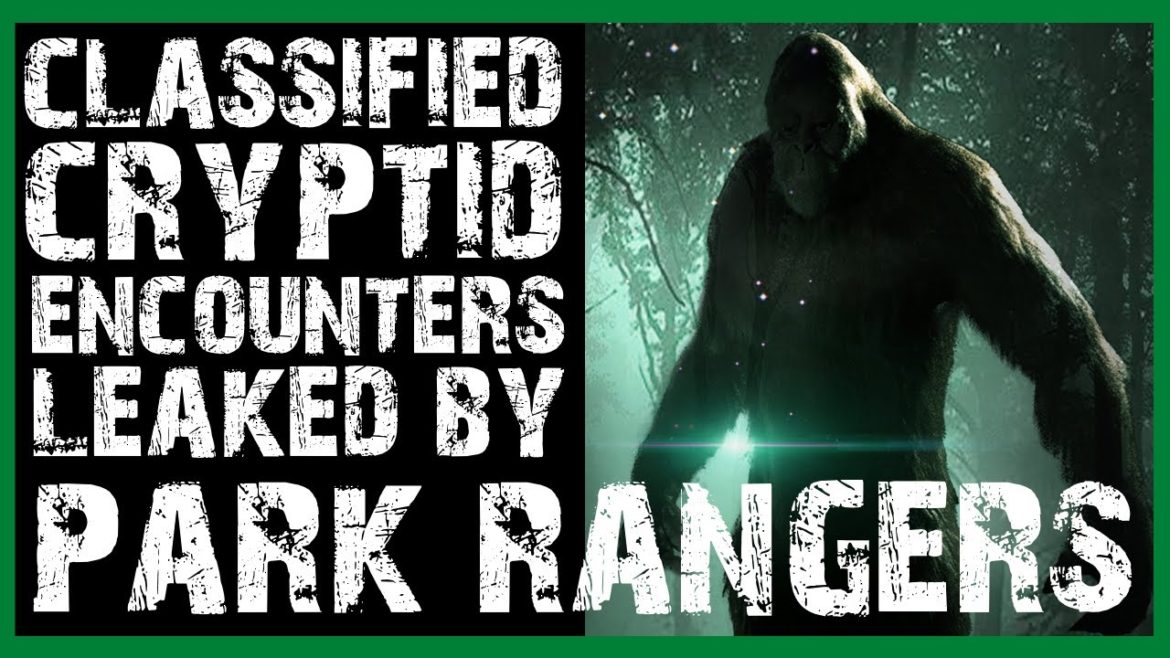 CLASSIFIED CRYPTID ENCOUNTERS LEAKED BY PARK RANGERS (COMPILATION) CLASSIFIED CRYPTID ENCOUNTERS LEAKED BY PARK RANGERS (COMPILATION)