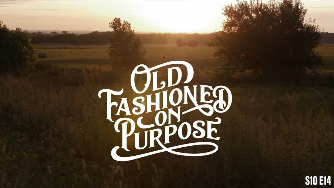 S10 E14: Ingenious Chicken Keeping with Harvey Ussery