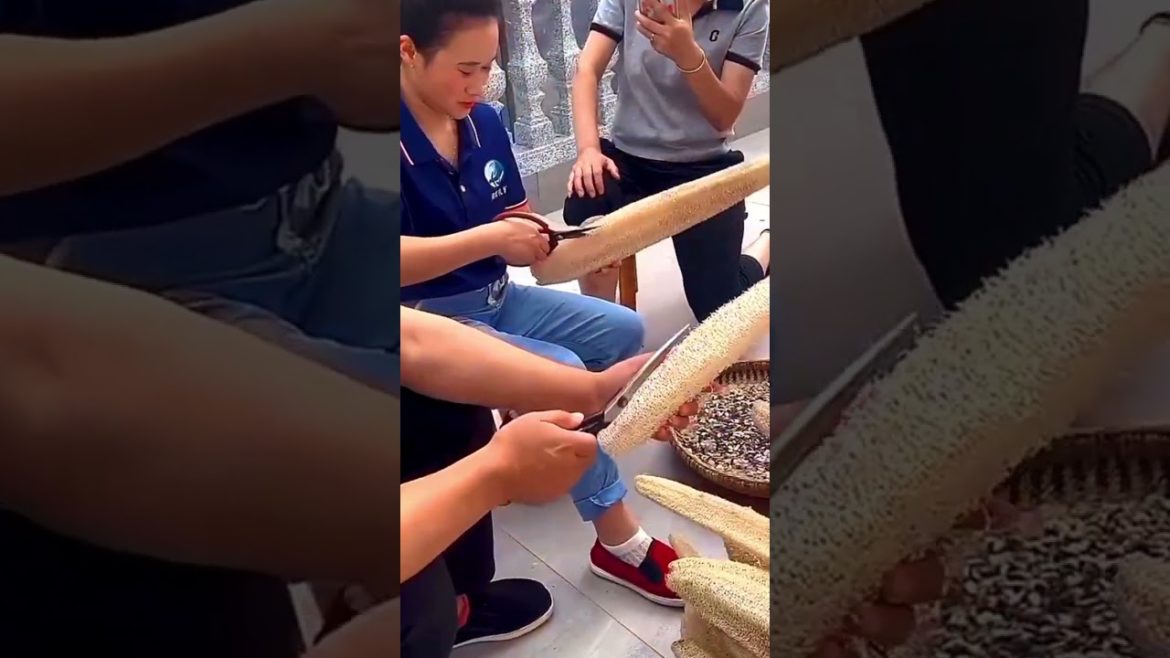 Great product from Sponge gourd #shorts #tips