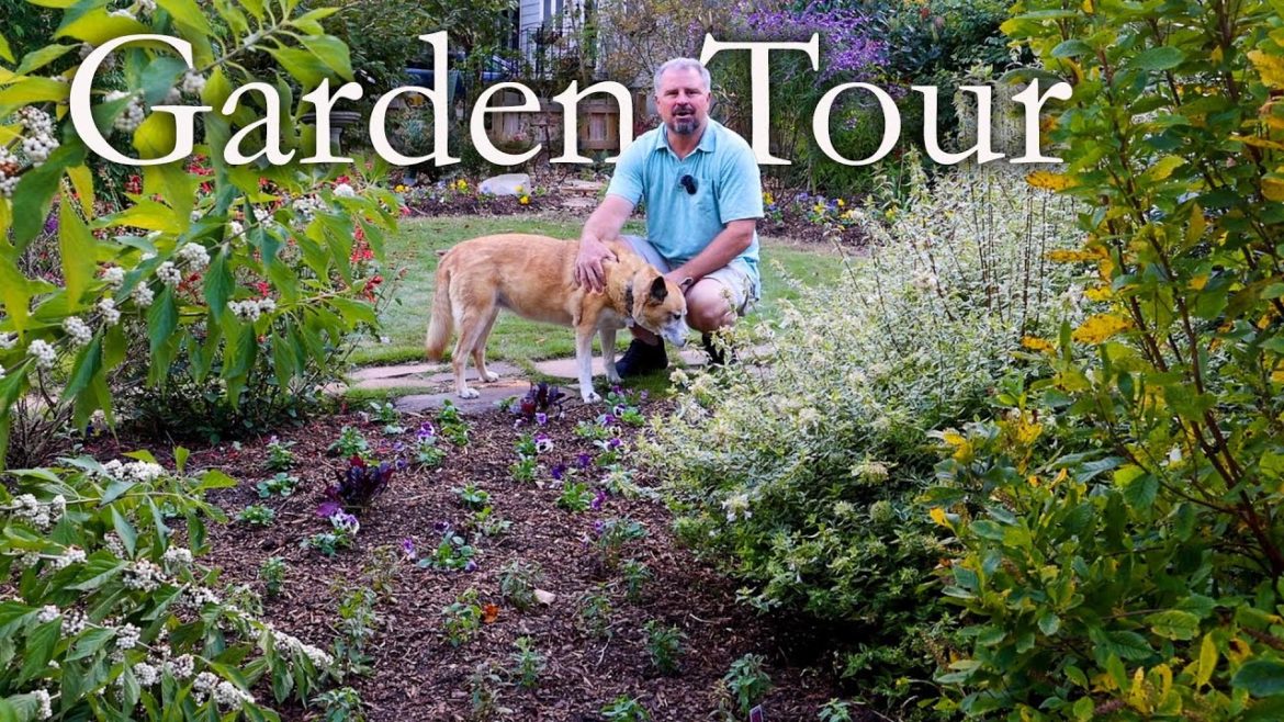 Walk around the Garden! Walk around the Garden!