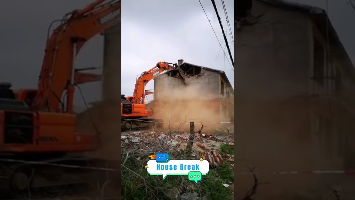 Demolition of the Old House #agriculture #shorts #gardener #fruit #fyp #funny #harvest