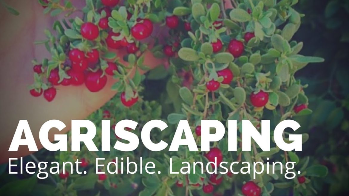 Edible Landscaping With “Agriscaping” Edible Landscaping With "Agriscaping"