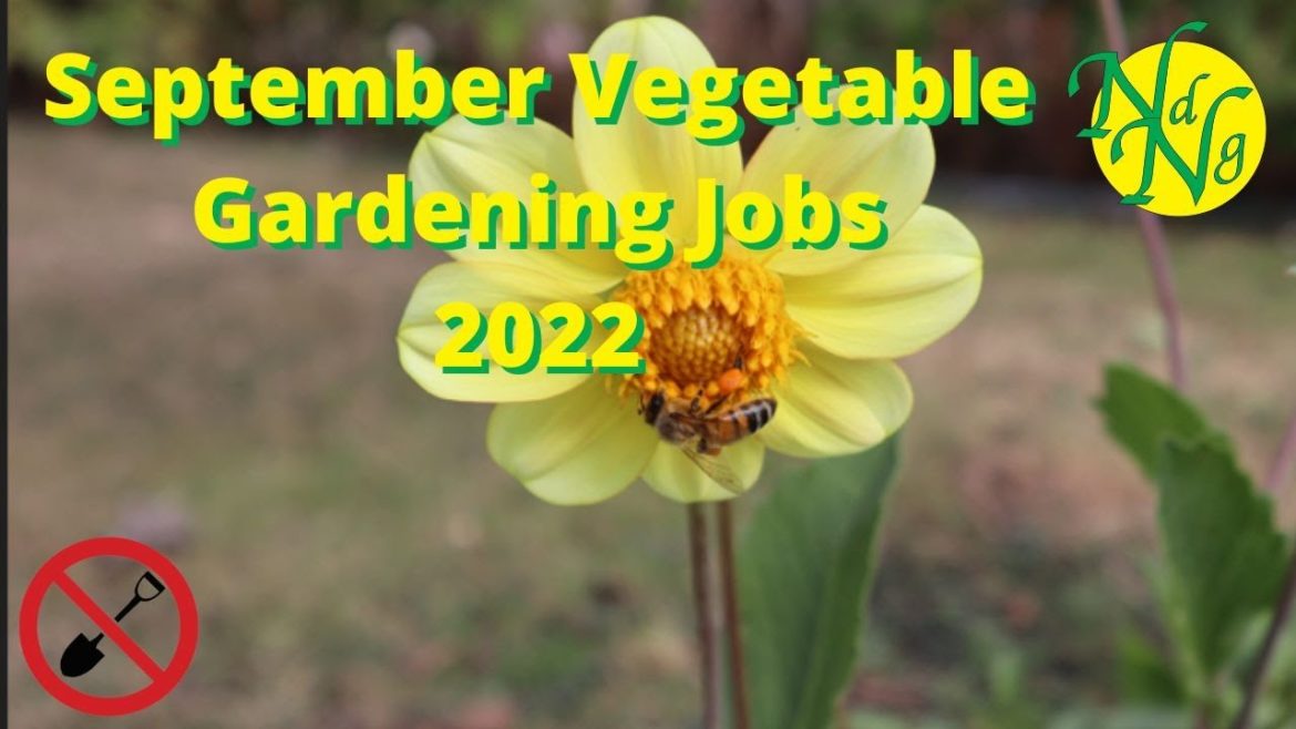 September Vegetable Gardening Jobs 2022