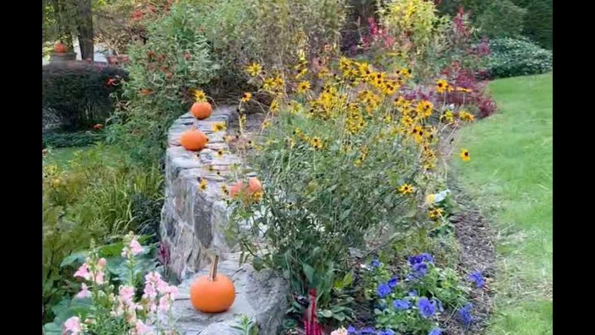 🍂 Fall Front Yard Goals! 🍂