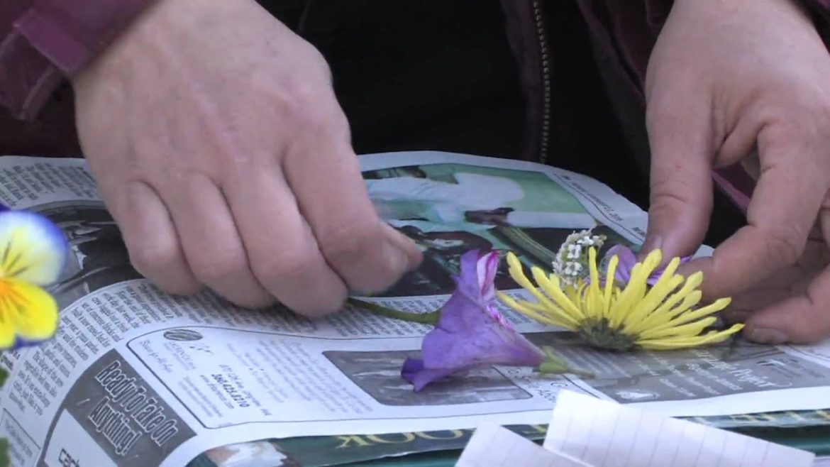 Gardening Tips : Tips for Scrapbooking Flowers Gardening Tips : Tips for Scrapbooking Flowers