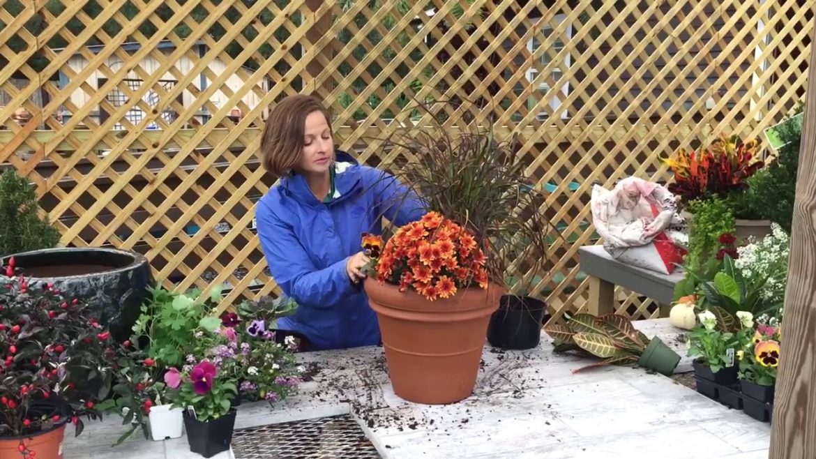 How to Create a Fall Container Garden