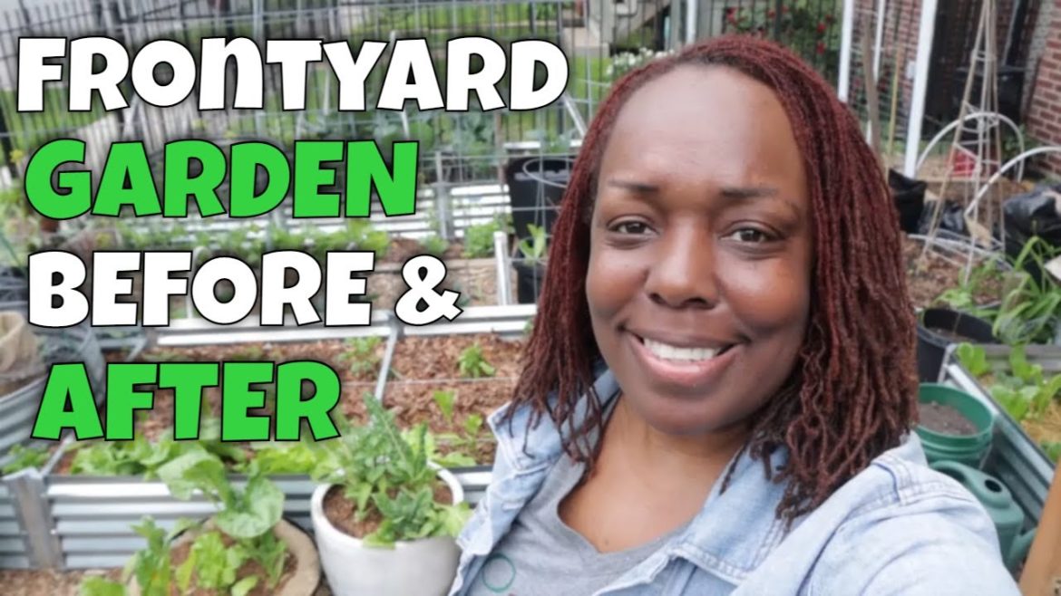 Front Yard Garden (Before and After)