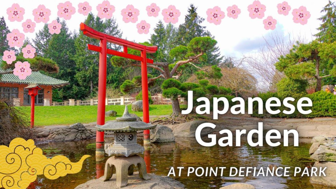Visiting a JAPANESE garden at point defiance park - TACOMA