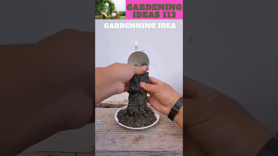 You can also try thisππ΄π±πΏπ/gardening ideas nonstop πβ¦@Sunil Marchant You can also try thisππ΄π±πΏπ/gardening ideas nonstop πβ¦@Sunil Marchant