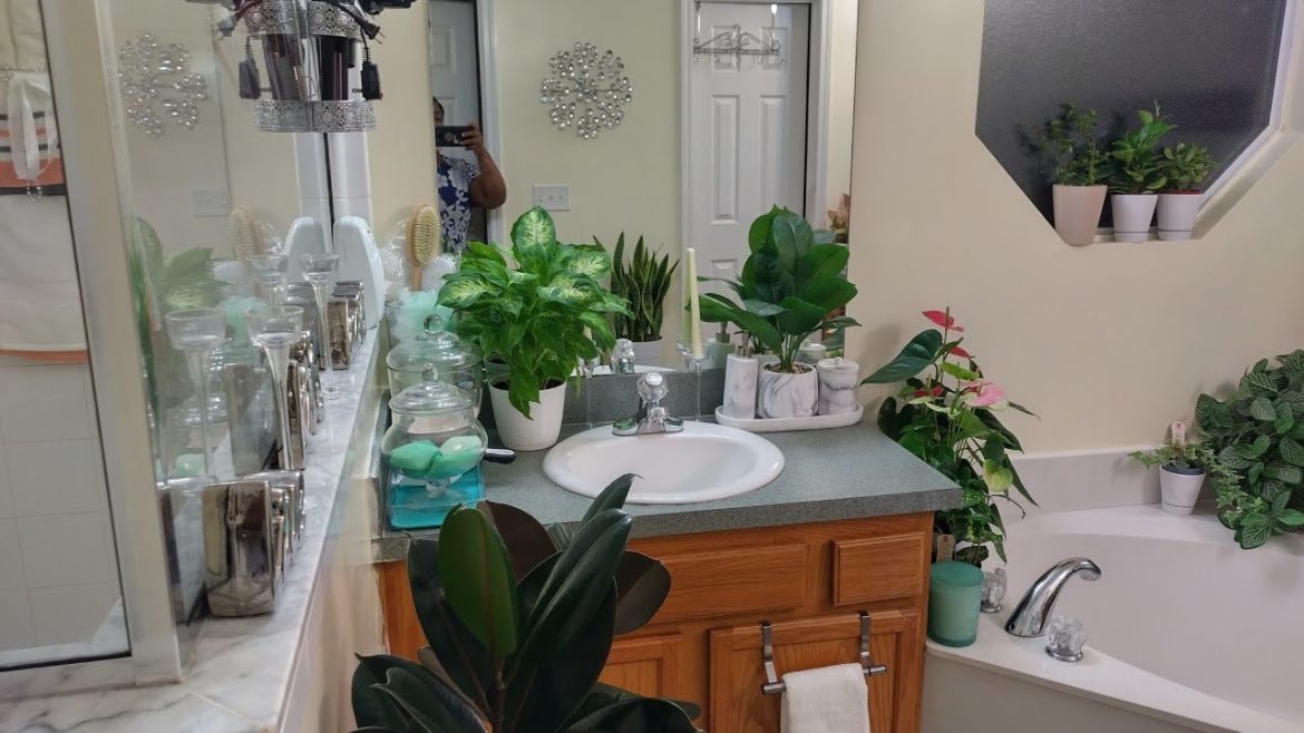 October Houseplants Tour: Learn how to grow beautiful bedroom plants! October Houseplants Tour: Learn how to grow beautiful bedroom plants!