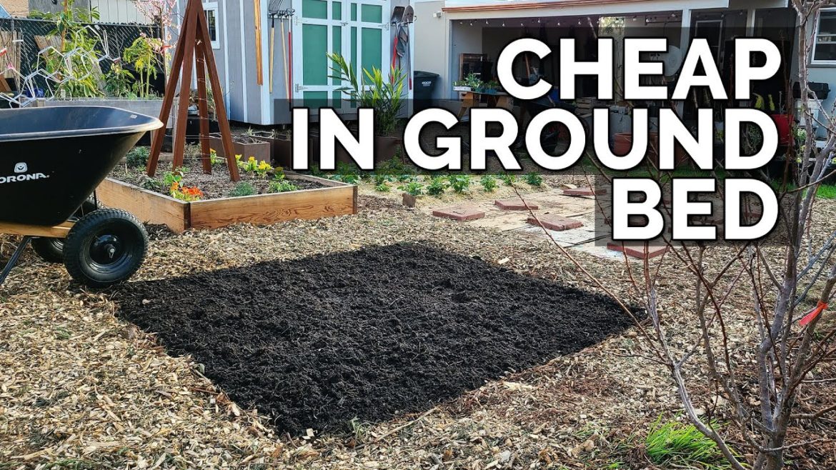 Expanding the Backyard Garden! ⛏️ Expanding the Backyard Garden! ⛏️