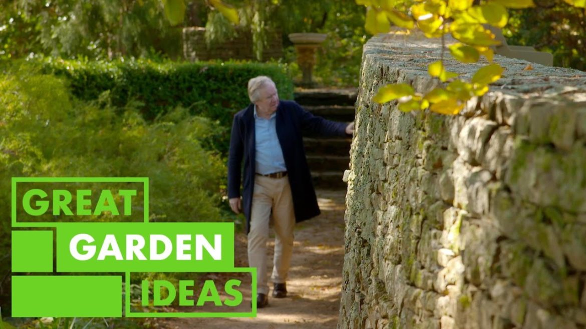 Everglades Garden Walkaround | GARDEN | Great Home Ideas Everglades Garden Walkaround | GARDEN | Great Home Ideas