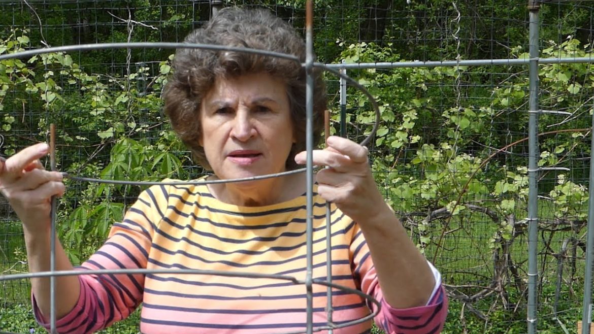 Favorite Garden Tools