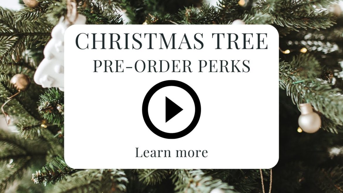 Christmas Tree Pre-Orders at Glen Allen Greenhouse Christmas Tree Pre-Orders at Glen Allen Greenhouse