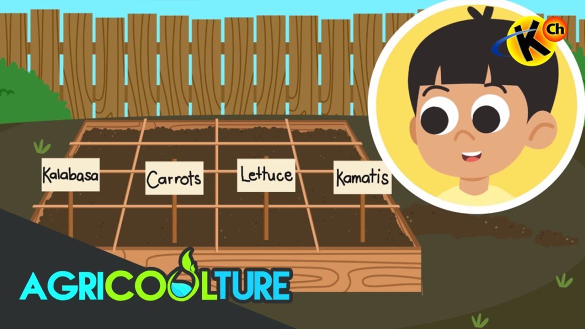 Square-Foot Vegetable Gardening | AgriCOOLture