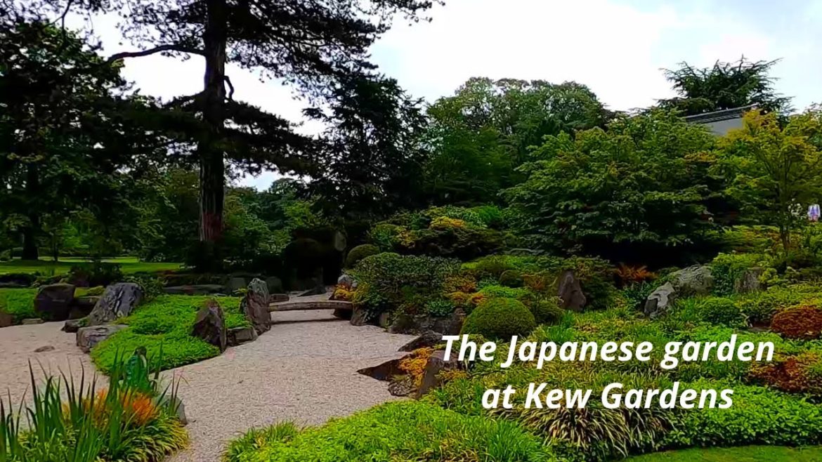 The Japanese garden at Kew Gardens (and a Peacock, because).