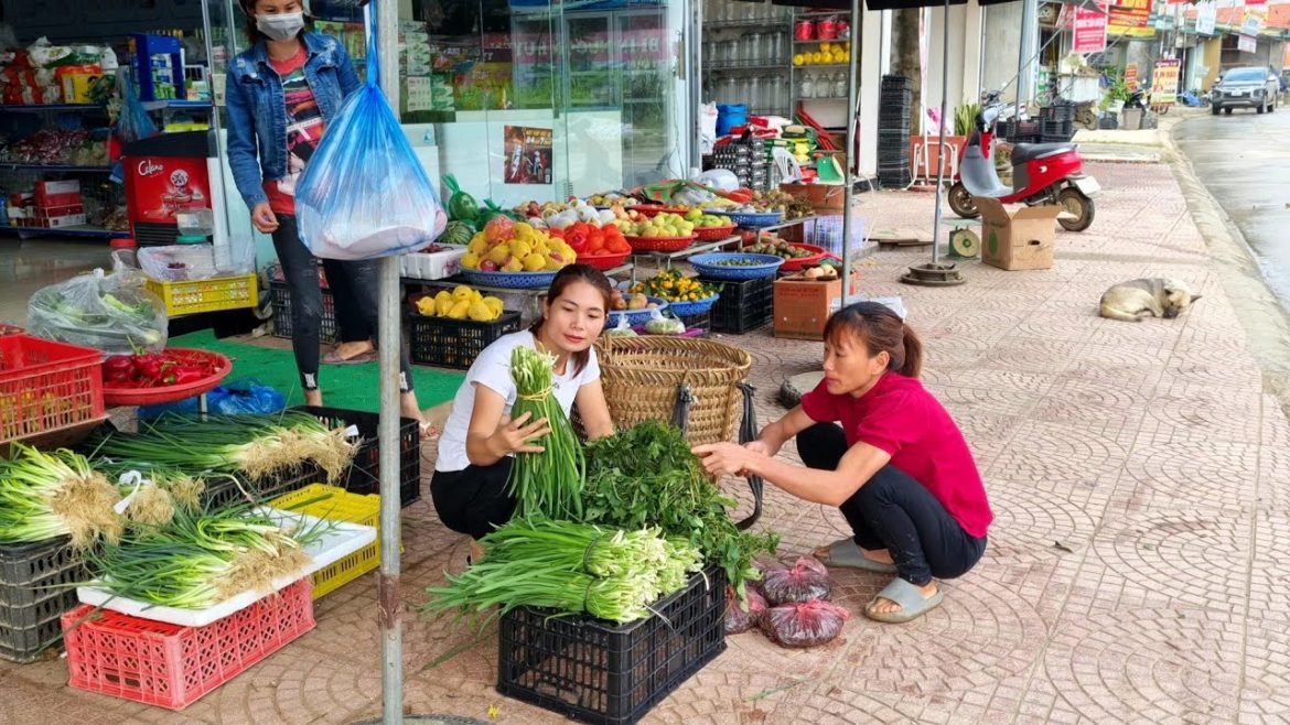 Harvest Vegetable Garden & Snails to the Market To Sell | Bàn Thị Diết