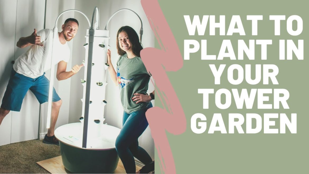 Tower Garden Tips and Tricks: How to Grow Fresh Produce Year Round