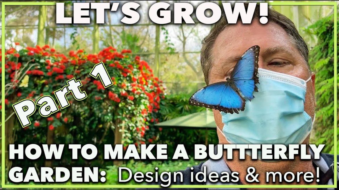 HOW TO MAKE A BUTTERFLY GARDEN, PART 1:  Butterfly attracting plants and ideas for a Florida garden