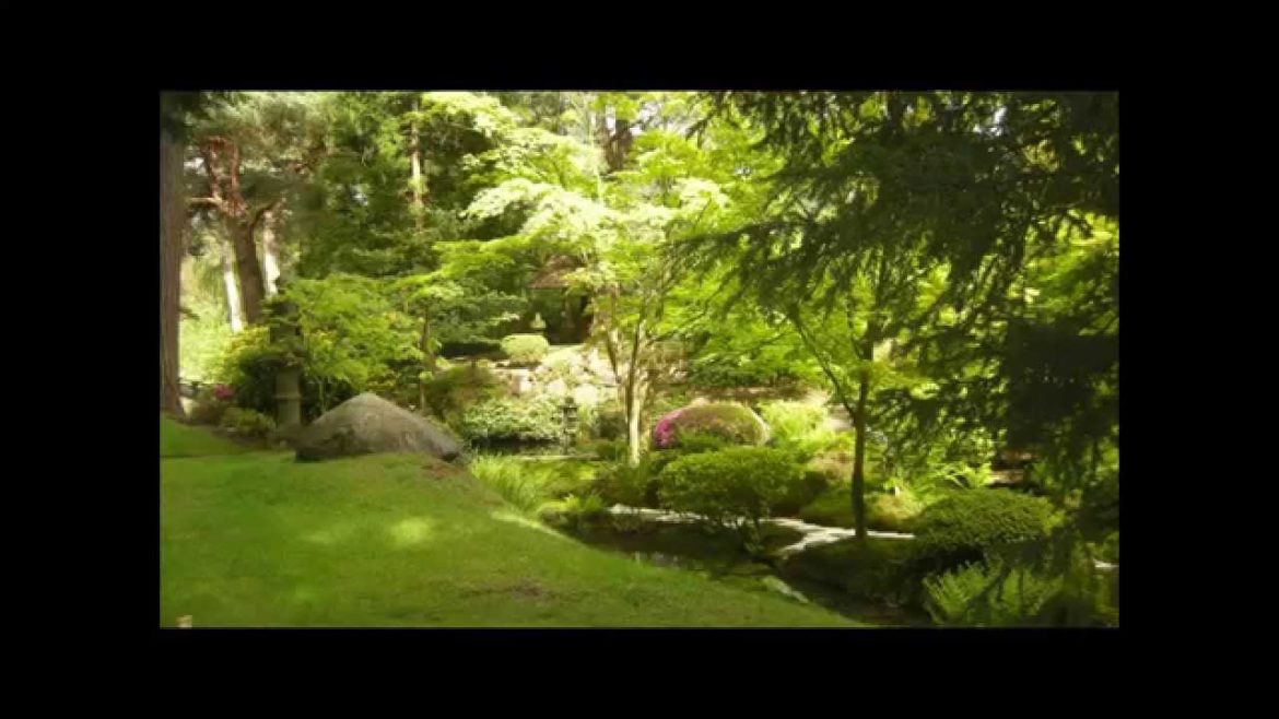 Tatton Park Japanese Garden Knutsford Cheshire. Tatton Park Japanese Garden Knutsford Cheshire.