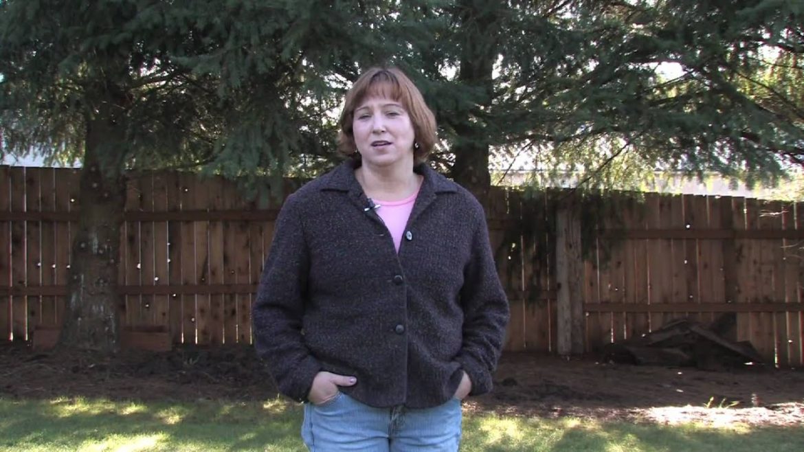 Gardening Tips & Tricks : How to Grow Grass Around Pine Trees