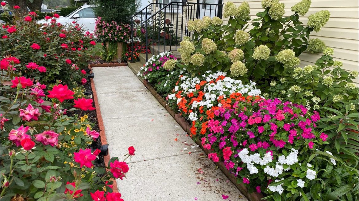 Garden tour Front yard -end of summer