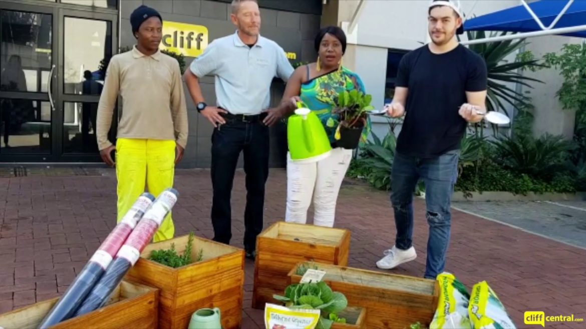 Lifestyle Home Garden | Garden Project with CliffCentral gardening ideas -  2019 – 4 garden centers