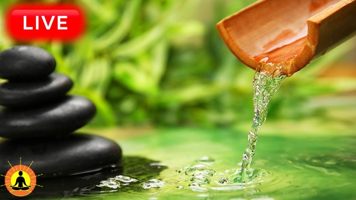 🔴 Relaxing Music 24/7, Sleep Music, Stress Relief Music, Spa, Meditation, Yoga, Zen, Sleeping Music 🔴 Relaxing Music 24/7, Sleep Music, Stress Relief Music, Spa, Meditation, Yoga, Zen, Sleeping Music