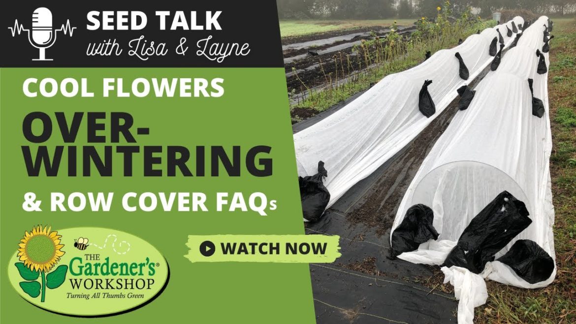 #7 – Cool Flowers Overwintering & Row Cover FAQs #7 - Cool Flowers Overwintering & Row Cover FAQs