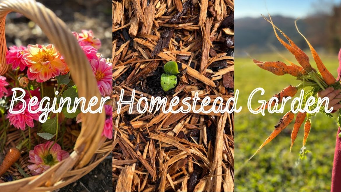 Beginner Homestead Garden // Reflections on My First Ever Garden