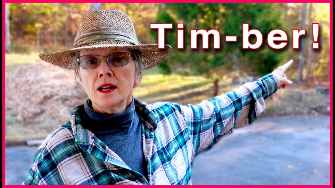 Kaye Kittrell: KNOW THIS about Trees on Your Property KNOW THIS about Trees on Your Property