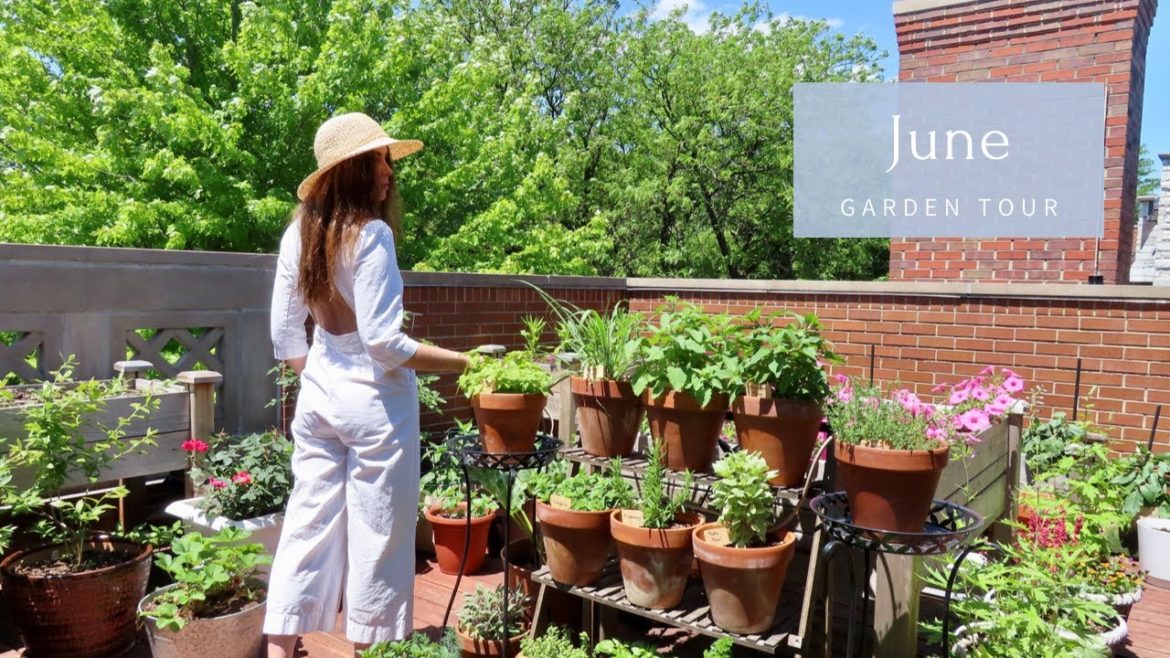 June Container Garden Tour | Rooftop Balcony Garden