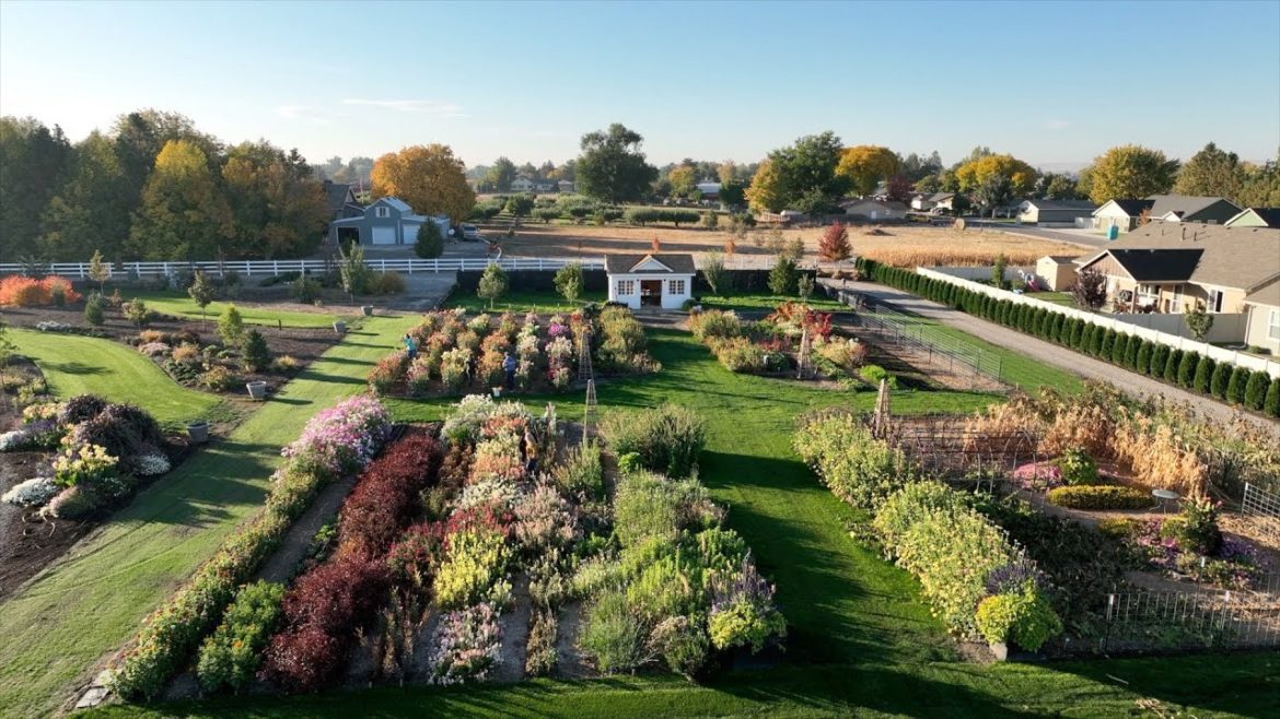 Garden Answer: Giving Away Flowers To Some Sweet People in Assisted Living & To Our Community! 🥰💐❤️ Giving Away Flowers To Some Sweet People in Assisted Living & To Our Community! 🥰💐❤️