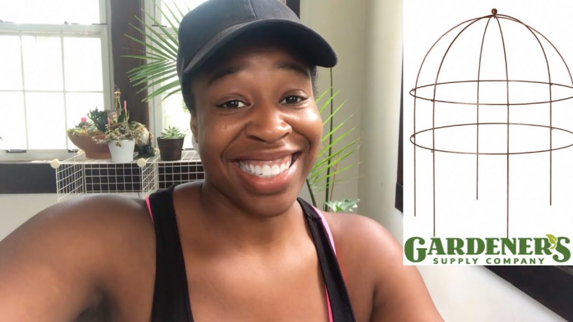 Gardeners Supply Company Jardin Bird Cage Support