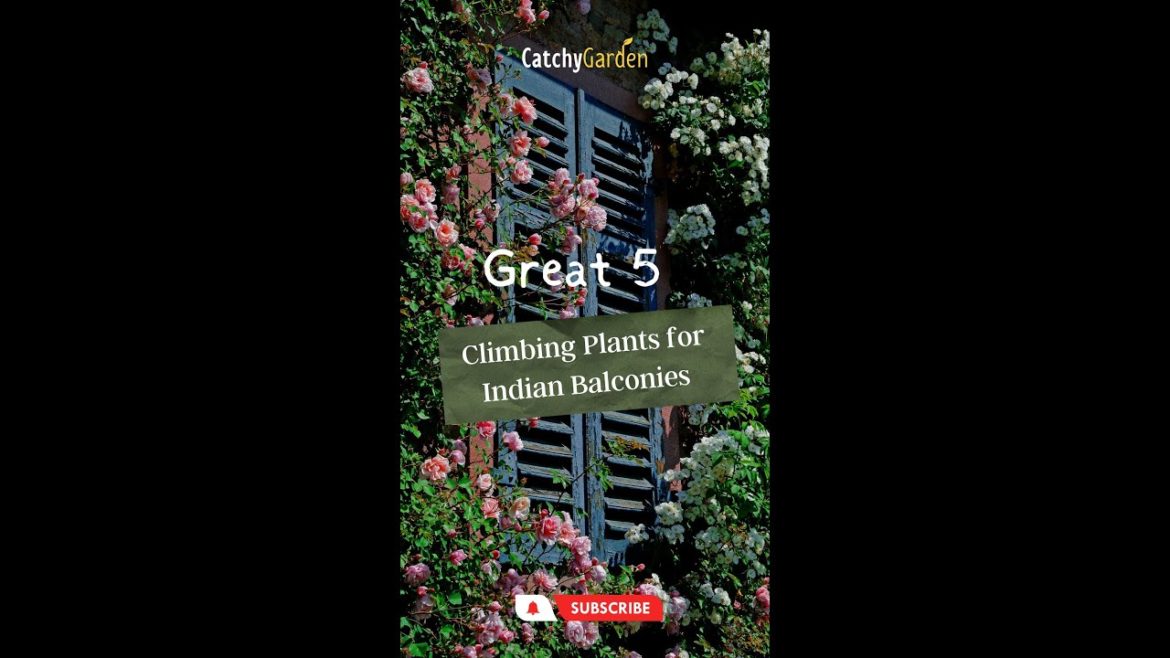 Great 5 Climbing Plants for Indian Balconies 🌸🌱 // #short #shorts