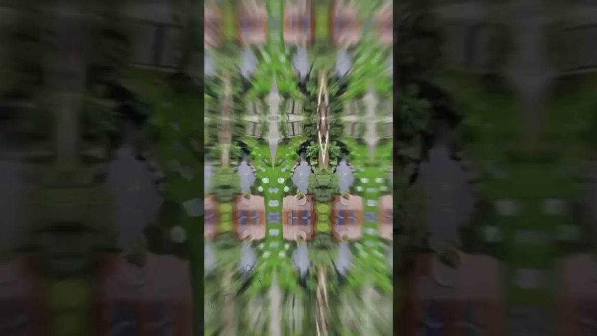 Small front yard landscaping /#smallgardenideas #shorts