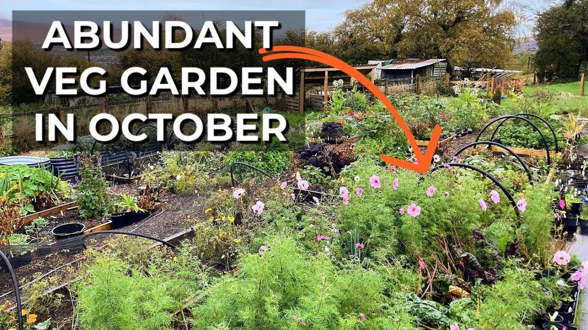 Beautiful Raised Bed Garden Filled with Food | Cold weather food security (October 2022)