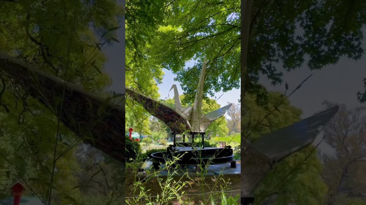 Japanese garden in Buenos Aires