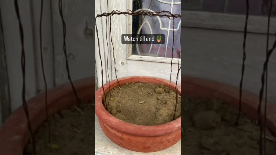 miniature swing garden design /😘decoration ideas for garden 🥰/#shorts