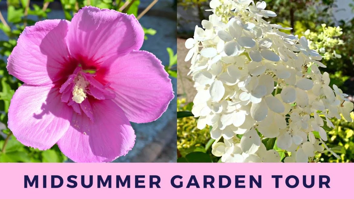 Mid Summer Garden Tour: Backyard Garden