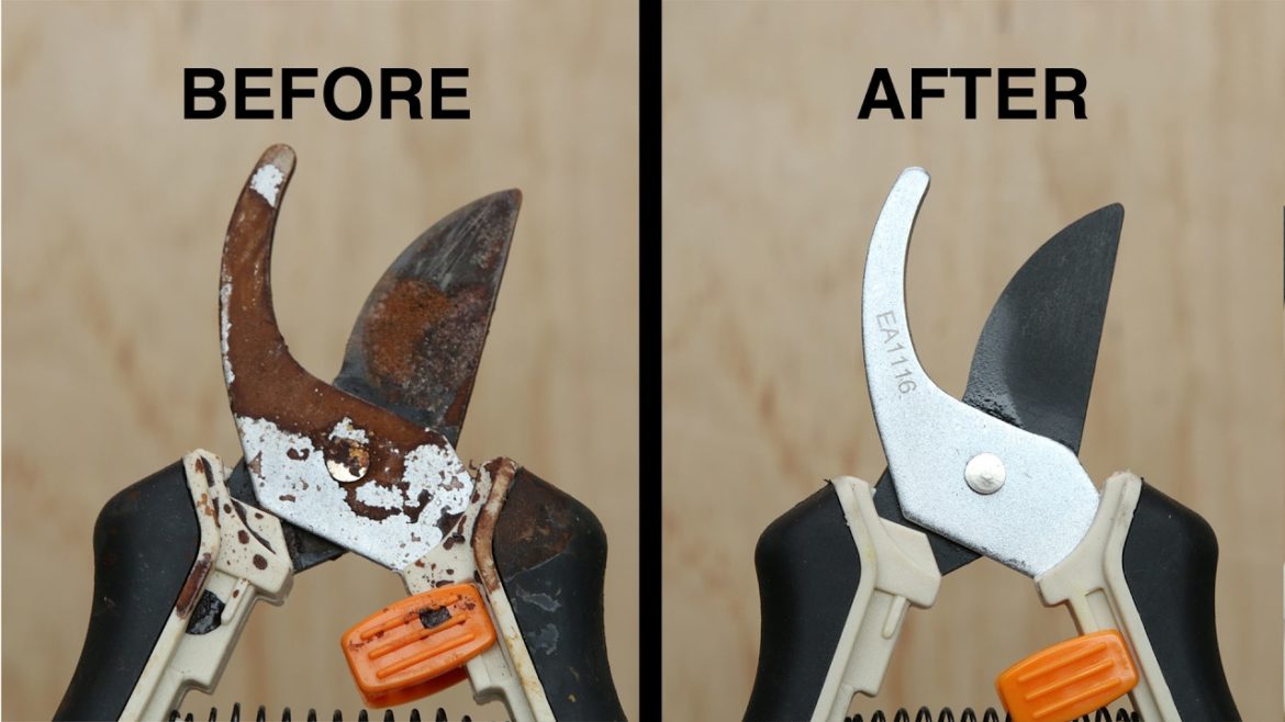 How To Remove Rust From Garden Tools