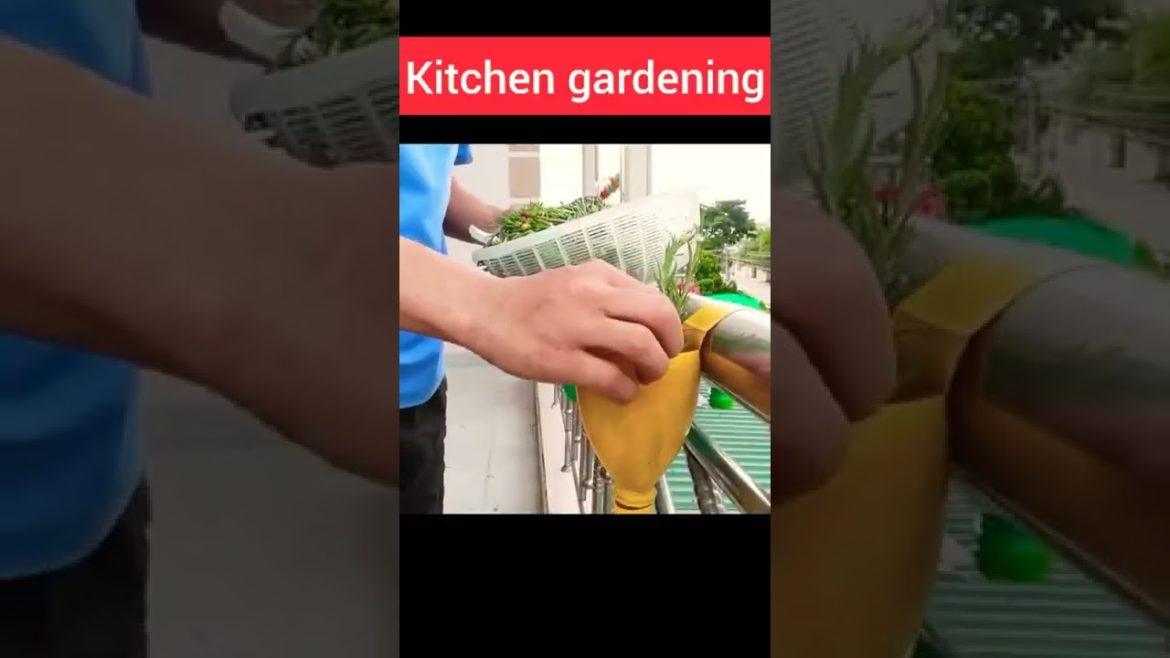 #gardening #flowers #shorts | #trending | #viral |#instagram  | #reels #tech