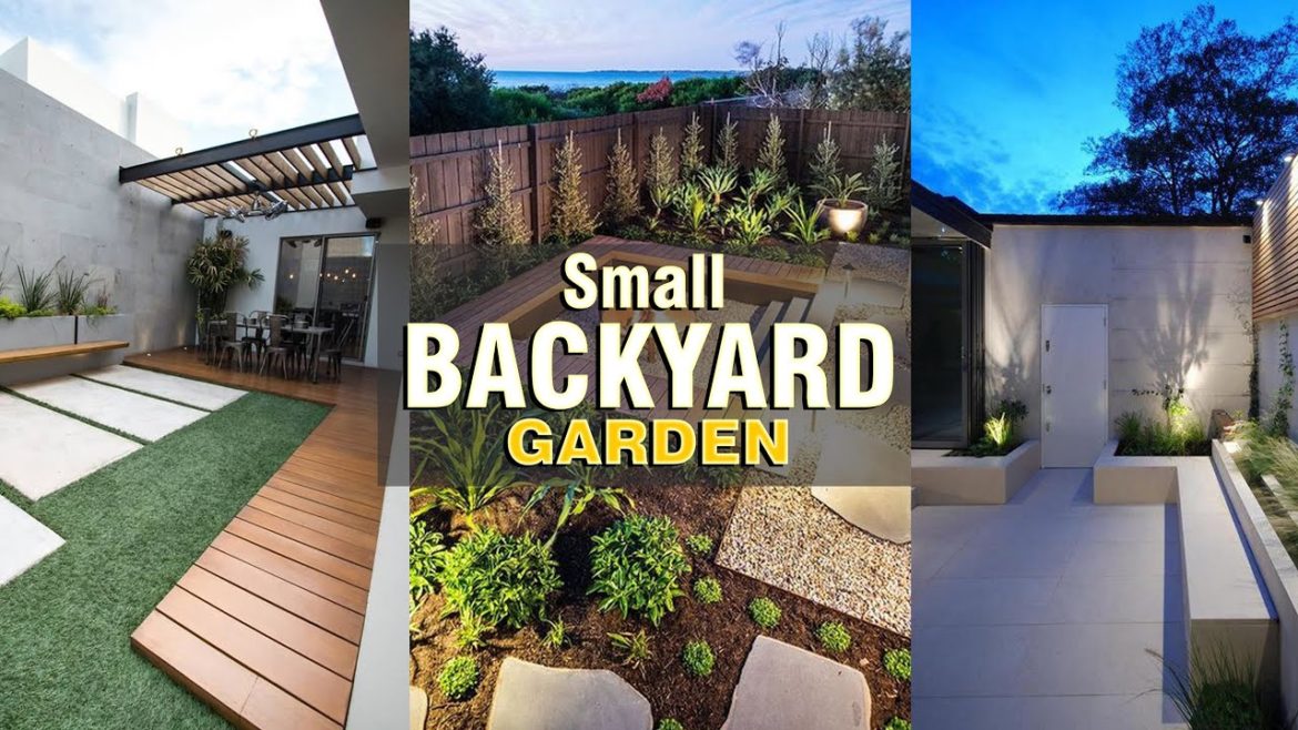 Small House Backyard Garden Ideas #shorts Small House Backyard Garden Ideas #shorts