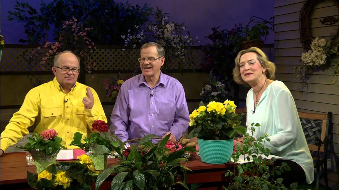 Great Gardening – Spring Special Great Gardening - Spring Special
